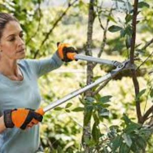 Hand Tools for Tree Maintenance