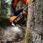 Petrol chainsaws for forestry