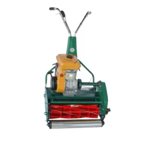 Protea SI Domestic Range Cylinder mowers – Petrol